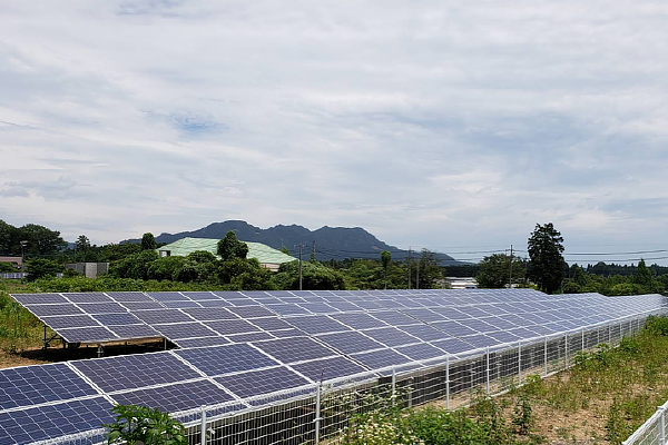 野立て　栃木県