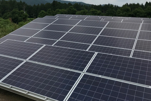 野立て　茨城県