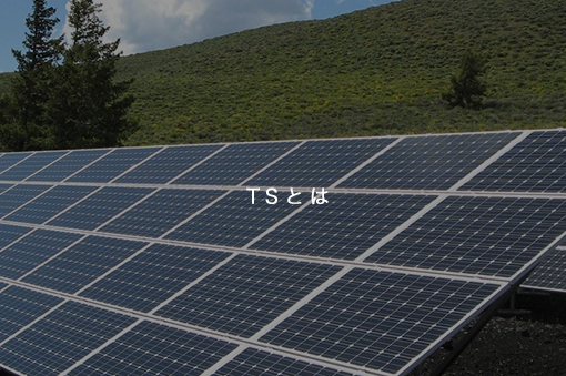 TSとは